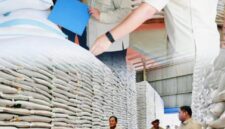 Presiden Prabowo Subianto saat meninjau stok beras di Gudang Bulog Danurejo, Magelang. 