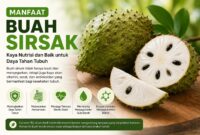 Buah sirsak dikenal kaya nutrisi, vitamin C, dan antioksidan yang bermanfaat bagi kesehatan tubuh.