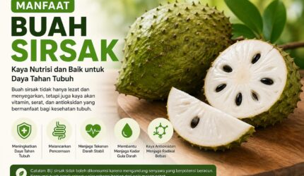 Buah sirsak segar kaya manfaat untuk kesehatan tubuh