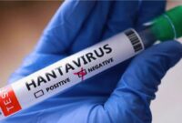 Kementerian Kesehatan RI mengimbau masyarakat meningkatkan kewaspadaan terhadap hantavirus yang ditularkan melalui tikus dan lingkungan terkontaminasi.