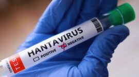 Kementerian Kesehatan RI mengimbau masyarakat meningkatkan kewaspadaan terhadap hantavirus yang ditularkan melalui tikus dan lingkungan terkontaminasi.