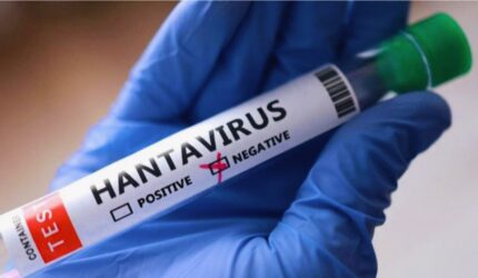 Ilustrasi tabung sampel tes hantavirus yang sedang diperiksa petugas medis di laboratorium.