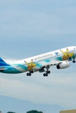 Viral Pesawat Garuda Berputar Lama di Udara India, Ini Penyebab Sebenarnya