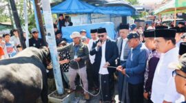 Wali Kota Sungai Penuh Alfin bersama Wakil Wali Kota Azhar Hamzah menyerahkan sapi kurban bantuan Presiden RI kepada panitia Masjid Raya Kota Sungai Penuh menjelang Iduladha 1447 Hijriah