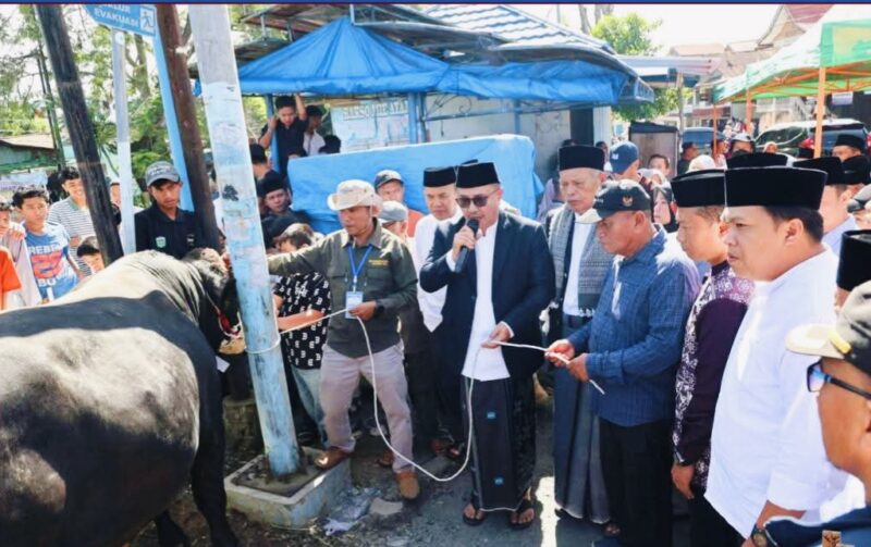 Wali Kota Sungai Penuh Alfin bersama Wakil Wali Kota Azhar Hamzah menyerahkan sapi kurban bantuan Presiden RI kepada panitia Masjid Raya Kota Sungai Penuh menjelang Iduladha 1447 Hijriah