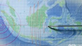 Ilustrasi gelombang gempa bumi usai gempa magnitudo 5,1 mengguncang wilayah Jember, Jawa Timur, Getaran gempa dirasakan hingga sejumlah daerah di Jawa Timur dan Bali.