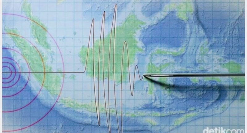 Ilustrasi gelombang gempa bumi usai gempa magnitudo 5,1 mengguncang wilayah Jember, Jawa Timur, Getaran gempa dirasakan hingga sejumlah daerah di Jawa Timur dan Bali.