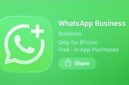 WhatsApp kini menjadi aplikasi utama pelaku usaha di Indonesia untuk melayani pelanggan dan meningkatkan penjualan bisnis online.