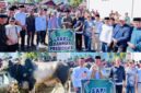 Bupati Kerinci Monadi bersama Wakil Bupati Murison menyerahkan sapi kurban bantuan Presiden RI kepada masyarakat di Masjid Baitul Ikhsan, Desa Kebun Baru, Kecamatan Gunung Raya.