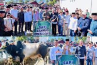 Bupati Kerinci Monadi bersama Wakil Bupati Murison menyerahkan sapi kurban bantuan Presiden RI kepada masyarakat di Masjid Baitul Ikhsan, Desa Kebun Baru, Kecamatan Gunung Raya.