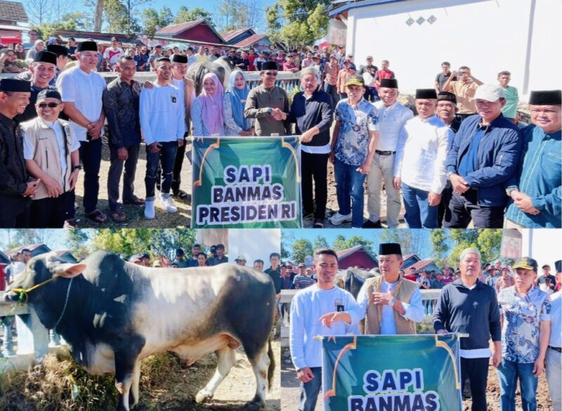 Bupati Kerinci Monadi bersama Wakil Bupati Murison menyerahkan sapi kurban bantuan Presiden RI kepada masyarakat di Masjid Baitul Ikhsan, Desa Kebun Baru, Kecamatan Gunung Raya.