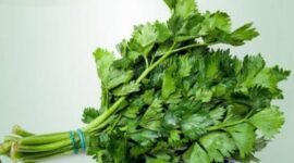 Daun seledri mengandung vitamin dan antioksidan yang baik untuk menjaga kesehatan tubuh.