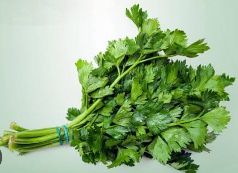 Daun seledri mengandung vitamin dan antioksidan yang baik untuk menjaga kesehatan tubuh.
