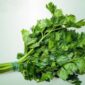 Daun seledri mengandung vitamin dan antioksidan yang baik untuk menjaga kesehatan tubuh.