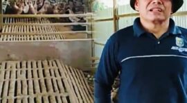 Peternakan bebek yang dikelola BUMDes Bulak Sakti Desa Air Hangat sebagai upaya memperkuat ketahanan pangan dan meningkatkan ekonomi masyarakat.
