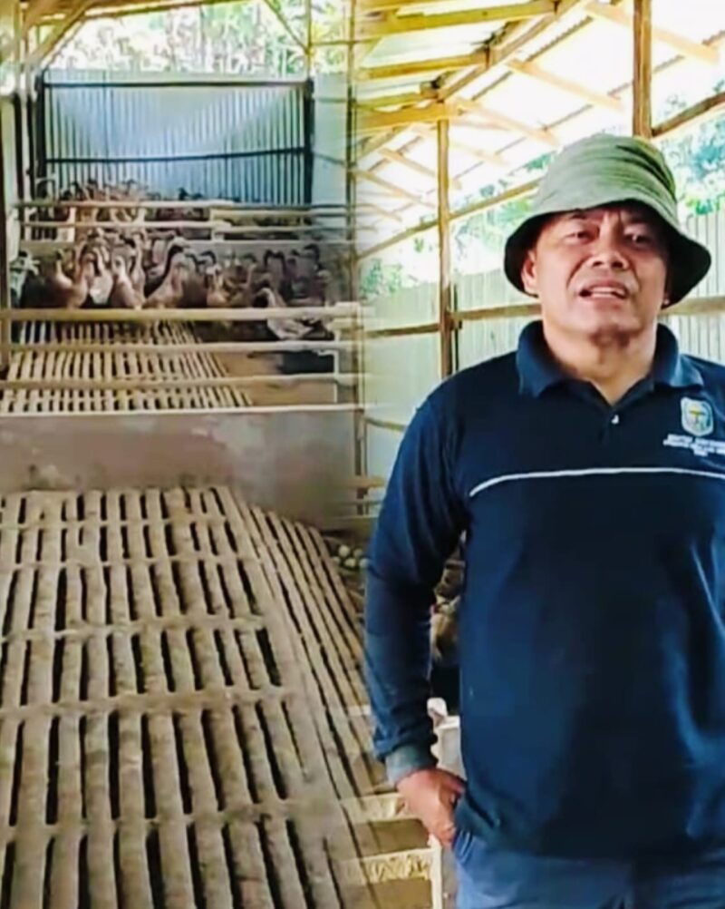 Peternakan bebek yang dikelola BUMDes Bulak Sakti Desa Air Hangat sebagai upaya memperkuat ketahanan pangan dan meningkatkan ekonomi masyarakat.