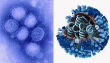 Ilustrasi Influenza A yang menjadi sorotan setelah Kemenkes RI mengungkap H1N1Pdm09 paling banyak ditemukan.