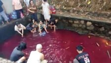 Air kolam di Gunung Sindur, Bogor, mendadak berubah merah pada Minggu, 20 September 2026.