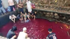 Air kolam di Gunung Sindur, Bogor, mendadak berubah merah pada Minggu, 20 September 2026.