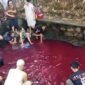 Air kolam di Gunung Sindur, Bogor, mendadak berubah merah pada Minggu, 20 September 2026.