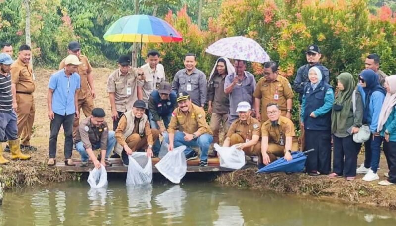 Wakil Wali Kota Sungai Penuh Azhar Hamzah menyerahkan bantuan 12.000 benih ikan nila beserta sarana pendukung budidaya kepada Kelompok Pembudidaya Ikan Kayangan di Taman Aura, Desa Renah Kayu Embun, Kecamatan Kumun Debai, Selasa (22/09).