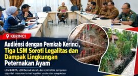 Audiensi Pemkab Kerinci bersama LSM FAKTA, LSM Semut Merah dan LSM GP2M membahas legalitas serta dugaan dampak lingkungan peternakan ayam di Desa Baru Sungai Tutung.