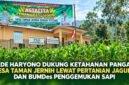 Kepala Desa Taman Jernih Sungai Tutung, Ade Haryono, mendorong penguatan ketahanan pangan melalui pertanian jagung dan pengembangan BUMDes penggemukan sapi untuk mendukung kemandirian ekonomi desa.