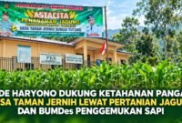Kepala Desa Taman Jernih Sungai Tutung, Ade Haryono, mendorong penguatan ketahanan pangan melalui pertanian jagung dan pengembangan BUMDes penggemukan sapi untuk mendukung kemandirian ekonomi desa.